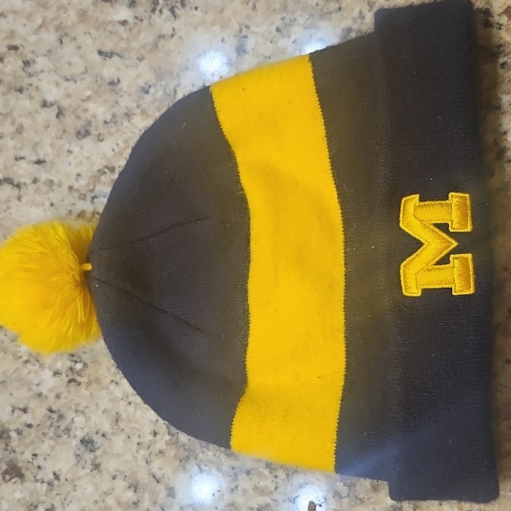 Michigan Jordan winter hat